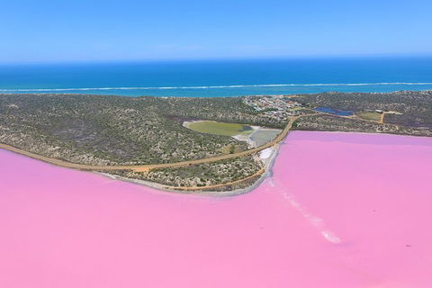 Pink Lake + Abrolhos Islands Nature Tour - Sydney 4u 4