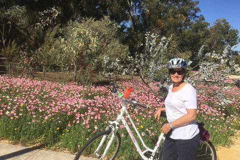 Perth Bike Tour - Beautiful Matilda Bay And Kings Park - Sydney 4u 1