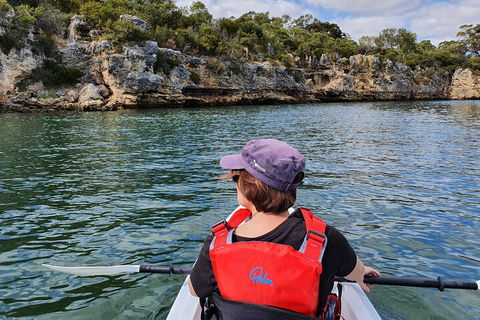 Cliffs And Caves Kayak Tour In Swan River - Sydney 4u 0