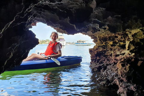 Cliffs And Caves Kayak Tour In Swan River - Sydney 4u 1