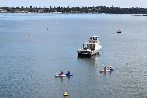 Cliffs And Caves Kayak Tour In Swan River - Sydney 4u 2