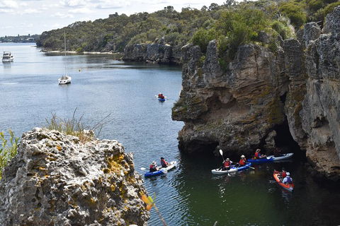 Cliffs And Caves Kayak Tour In Swan River - Sydney 4u 5