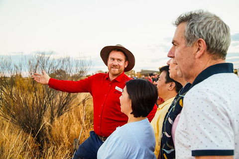 Uluru (Ayers Rock) Sunset With Outback Barbecue Dinner And Star Tour - Accommodation Sydney 3