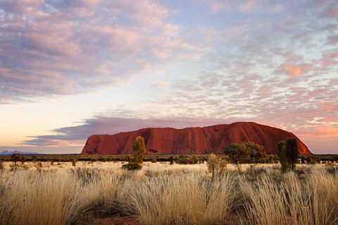 Uluru (Ayers Rock) Base And Sunset Half-Day Trip With Opt Outback BBQ Dinner - Sydney 4u 3