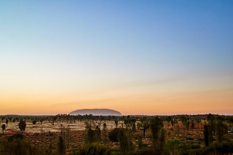 Uluru (Ayers Rock) Field Of Light Sunrise Tour - Sydney 4u 0