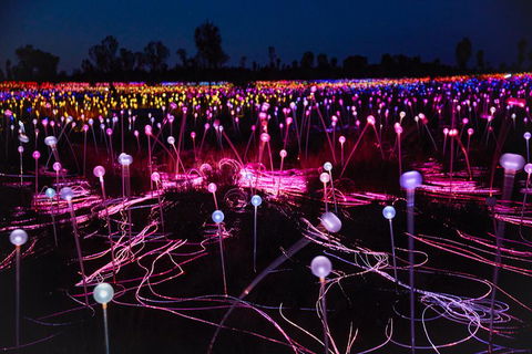 Uluru (Ayers Rock) Field Of Light Sunrise Tour - Sydney 4u 1