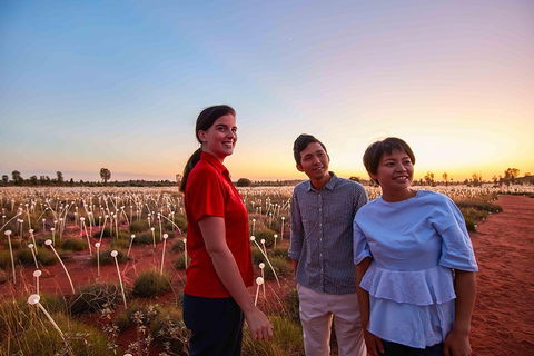 Uluru (Ayers Rock) Field Of Light Sunrise Tour - Sydney 4u 2