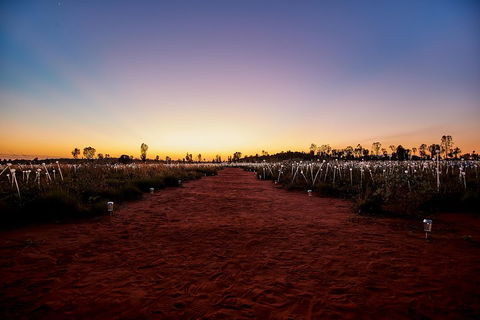 Uluru (Ayers Rock) Field Of Light Sunrise Tour - Sydney 4u 3