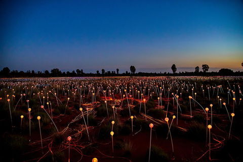 Uluru (Ayers Rock) Field Of Light Sunrise Tour - Sydney 4u 4