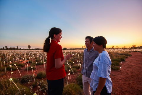 Uluru (Ayers Rock) Field Of Light Sunrise Tour - Sydney 4u 5