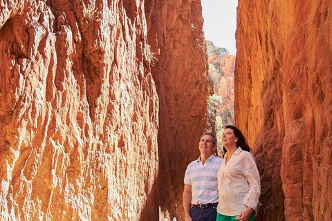 Best Of Alice Springs Full Day Tour - Accommodation Sydney 4