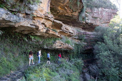 Blue Mountains Nature And Wildlife Day Tour From Sydney - Accommodation Sydney 2