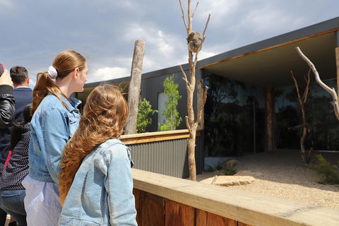 Blue Mountains Nature And Wildlife Day Tour From Sydney - Accommodation Sydney 3