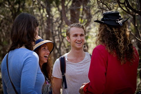 Blue Mountains Nature And Wildlife Day Tour From Sydney - Accommodation Sydney 4