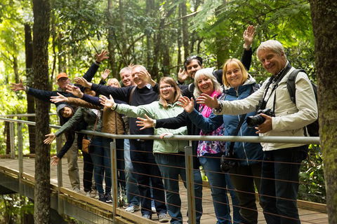 All Inclusive Blue Mountains Small-Group Day Trip From Sydney - Accommodation Sydney 5