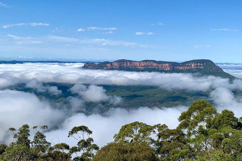 Small-Group Blue Mountains Tour With A Local Guide - Accommodation Sydney 4