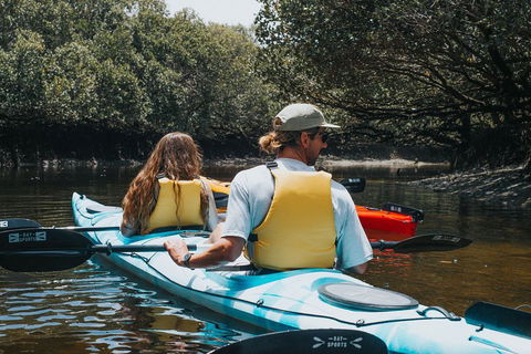 Kayak Tour In Adelaide Dolphin Sanctuary - Sydney 4u 2