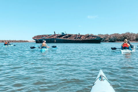 Kayak Tour In Adelaide Dolphin Sanctuary - Sydney 4u 3