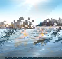 Brisbane Kayak Tour - Accommodation Sydney