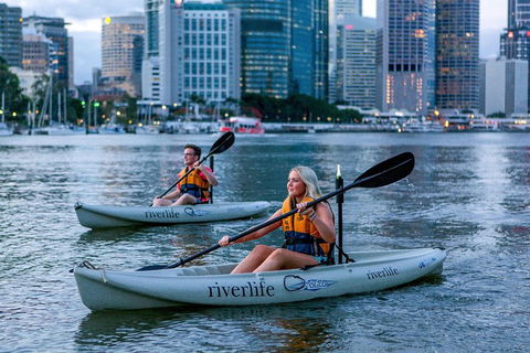 Brisbane Kayak Tour - Sydney 4u 3