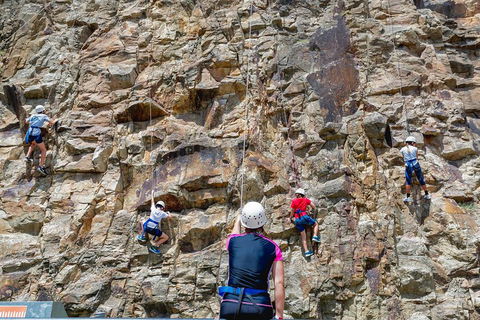 Rock Climbing At The Kangaroo Point Cliffs In Brisbane - Sydney 4u 2