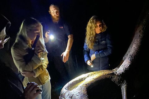 Evening Rainforest & Glow Worm Experience - Sydney 4u 2