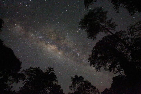 Evening Rainforest & Glow Worm Experience - Sydney 4u 4