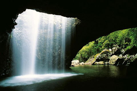 Natural Bridge & Springbrook Waterfalls Tour - Accommodation Sydney 0