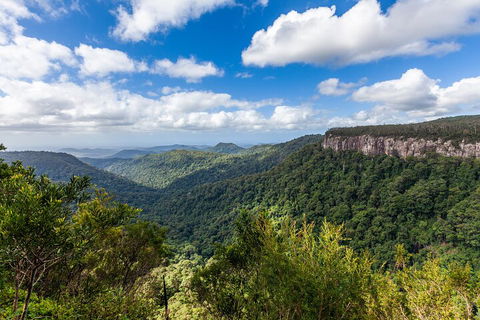 Natural Bridge & Springbrook Waterfalls Tour - Accommodation Sydney 1