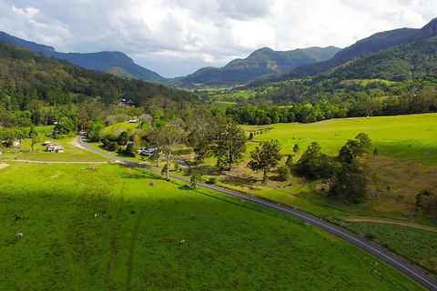 Natural Bridge & Springbrook Waterfalls Tour - Accommodation Sydney 2