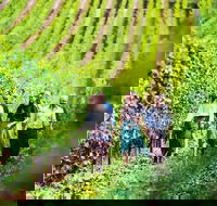 Tasmanian Wine Tour - Sydney 4u
