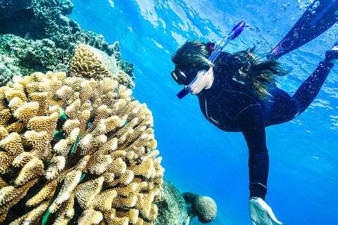 Green Island Day Trip From Cairns - Sydney 4u 1