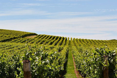 West Tamar Wine Tour - Sydney 4u 2