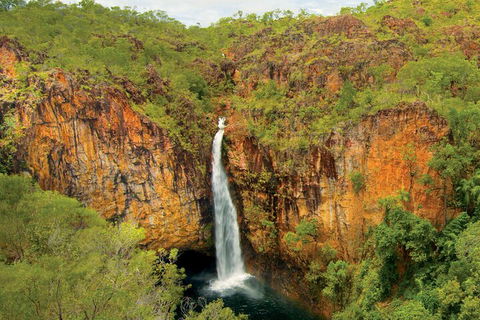 7 Days Darwin, Kakadu National Park, Katherine Gorge Touring Package - Sydney 4u 3