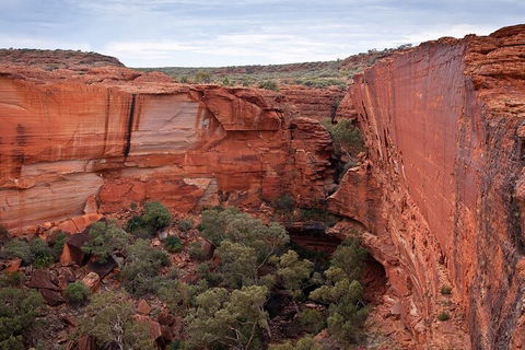 Uluru, Kata Tjuta And Kings Canyon Camping Safari From Ayers Rock - Accommodation Sydney 1