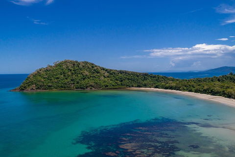 Daintree And Cape Tribulation Tour From Cairns - Accommodation Sydney 4