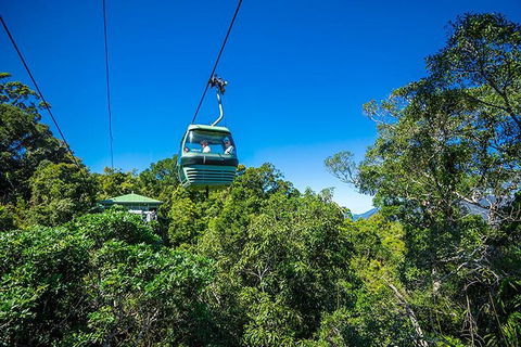 Skyrail Rainforest Cableway Day Trip From Cairns - Sydney 4u 1