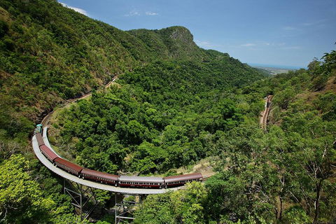 Skyrail Rainforest Cableway Day Trip From Cairns - Sydney 4u 5