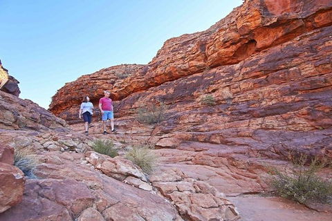 The Amazing Kings Canyon: 4-Hours Walking Tour And Hike - Accommodation Sydney 5