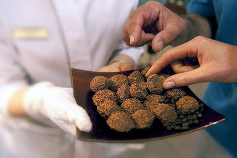 Explore Adelaide City Tour: Haigh's Tasting Chocolate & Adelaide Oval Tour - Accommodation Sydney 2