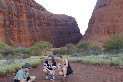 5-Hour Kata Tjuta Sunrise Tour From Ayers Rock With Breakfast - Sydney 4u 0