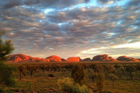 5-Hour Kata Tjuta Sunrise Tour From Ayers Rock With Breakfast - Sydney 4u 1