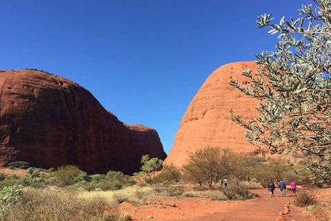 5-Hour Kata Tjuta Sunrise Tour From Ayers Rock With Breakfast - Sydney 4u 4