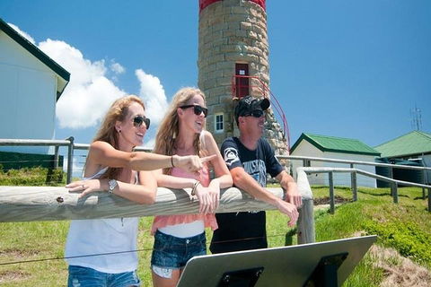 Full-Day Moreton Island 4x4 Sightseeing Tour - Sydney 4u 3