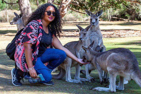 3-Day Tasmania Combo: Hobart To Launceston Active Tour - Accommodation Sydney 5