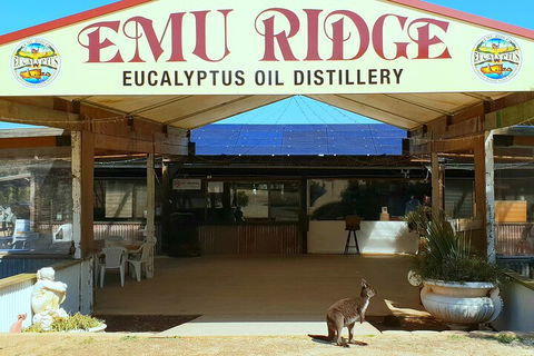 2-Day Kangaroo Island Safari From Adelaide - Sydney 4u 4