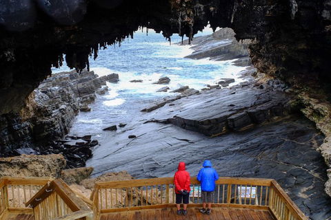2-Day Kangaroo Island Safari From Adelaide - Sydney 4u 5