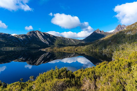 Cradle Mountain National Park Day Tour From Launceston - Sydney Resort 3