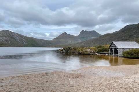 Cradle Mountain National Park Day Tour From Launceston - Sydney Resort 4