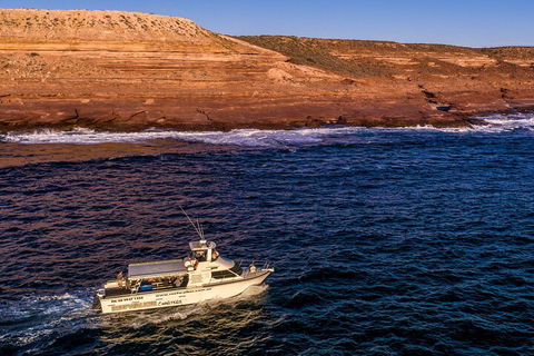 Kalbarri Sunset Coastal Cliff Cruise - Sydney 4u 4